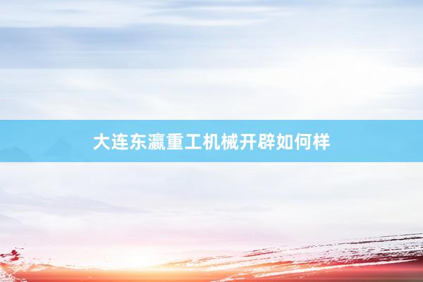 大连东瀛重工机械开辟如何样